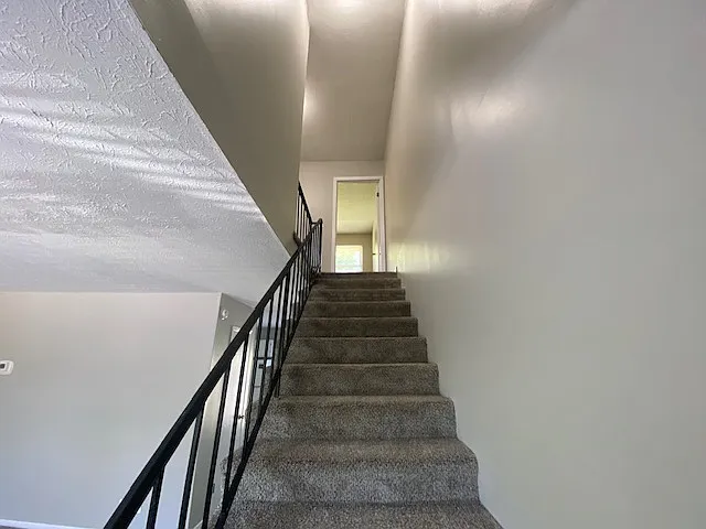 912 Naomi Dr — Photo 6