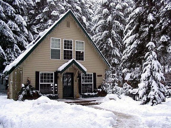 Winter