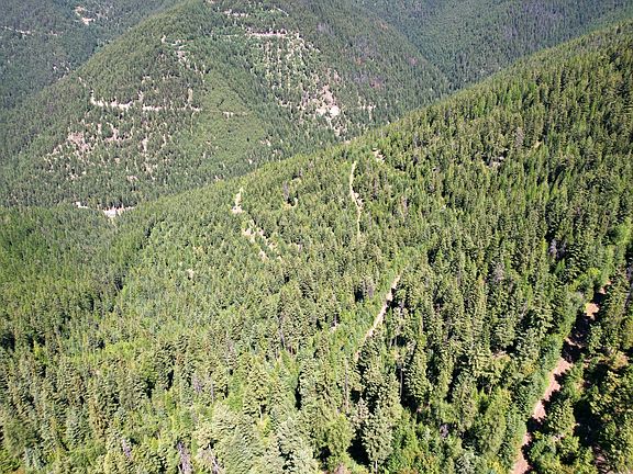 3rd image of TRACT 2 Pardee Flat Rd