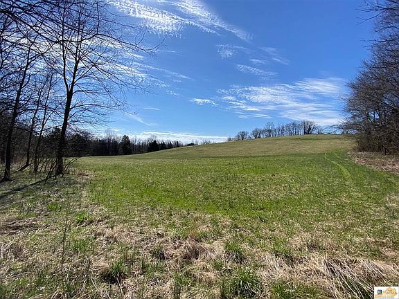 5th image of 448 Needmore School Rd