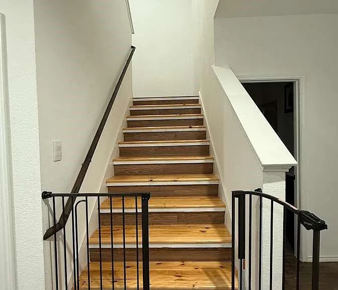 21202 Frosted Fern Ln — Photo 10