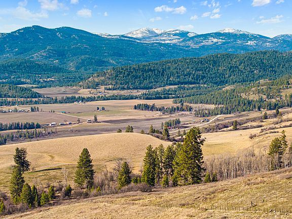 5th image of 2697 Bridgeman Rettinger Rd