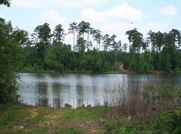 2nd image of 1005 Lake Dr