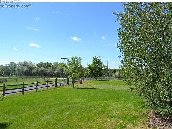 Front yard and Driveway
