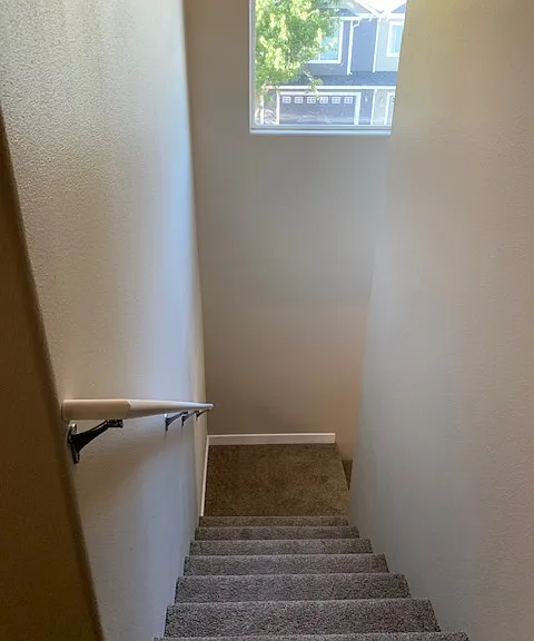 Carpeted stairs
