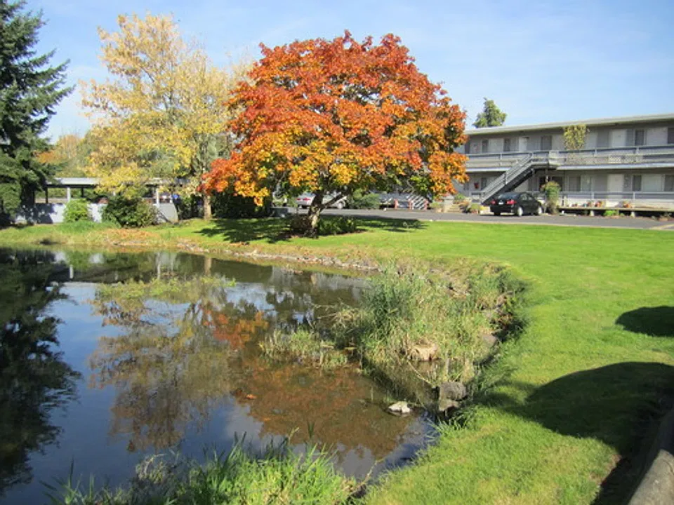 Crystal Springs