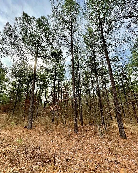 1st image of 746 Timber Creek Trl
