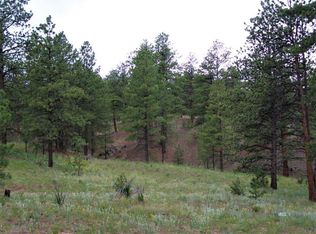 246 Cheyenne Rd, Westcliffe, CO 81252