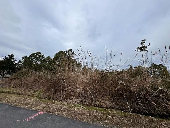 5th image of LOT 288 N Hibiscus Dr