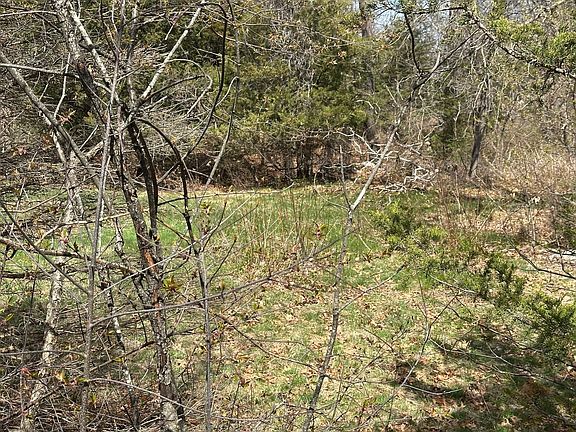 2nd image of 27 Old Pine Island Rd
