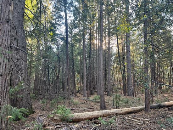 Acres 5 Oso Mesa Ct Lot 24, Georgetown, CA 95634