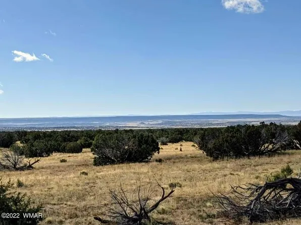 554 Woodland Valley Rnch, Saint Johns, AZ 85936