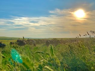 15259 Sorum Rd, Reva, SD 57651