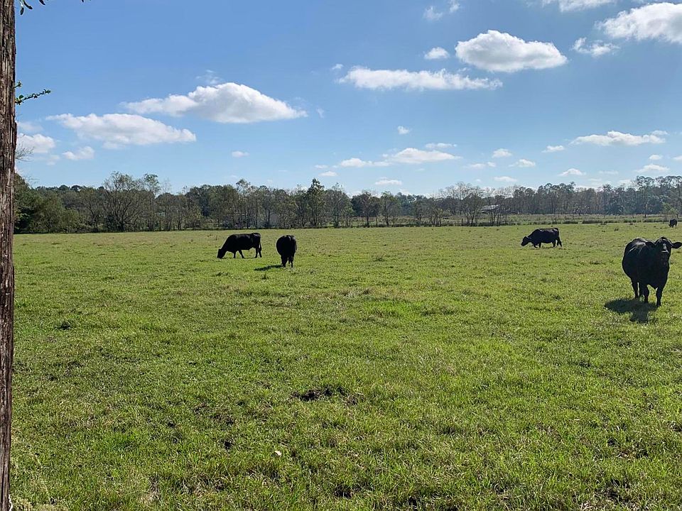 2nd image of TBD NW CR 233