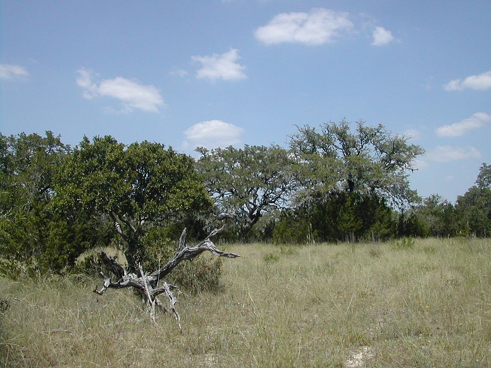 1st image of 10238 Fm 32
