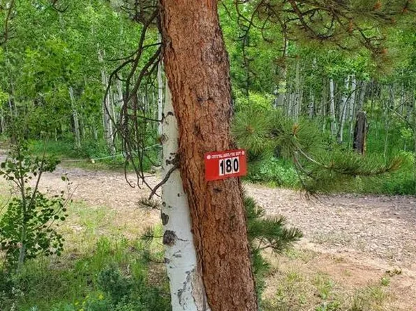 180 Yuki Dr, Red Feather Lakes, CO 80545