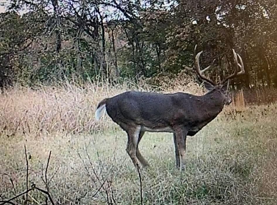 2nd image of Ew 1340 Rd