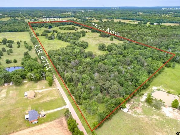 Vz County Road 4714, Ben Wheeler, TX 75754