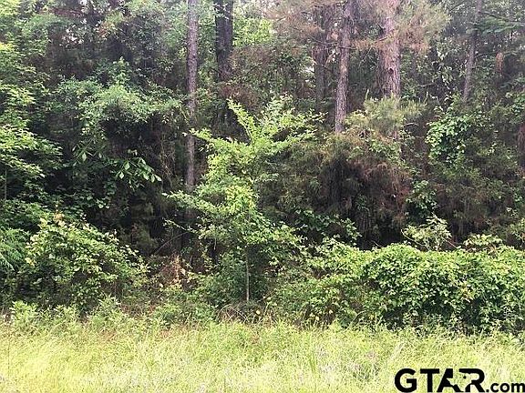 2nd image of County Road 3410