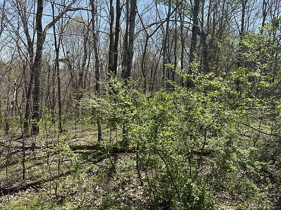 3rd image of 0 Highway 49 E Tract 4