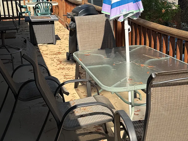 808 Northwood Blvd #1 — Photo 7