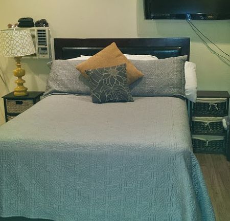 Main living area - living/bedroom