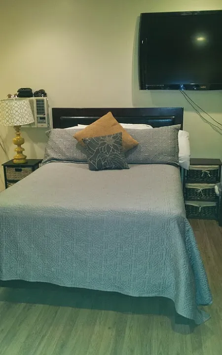 Main living area - living/bedroom