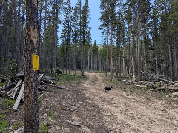 3419 Grojean Drive, Fort Garland, CO 81133