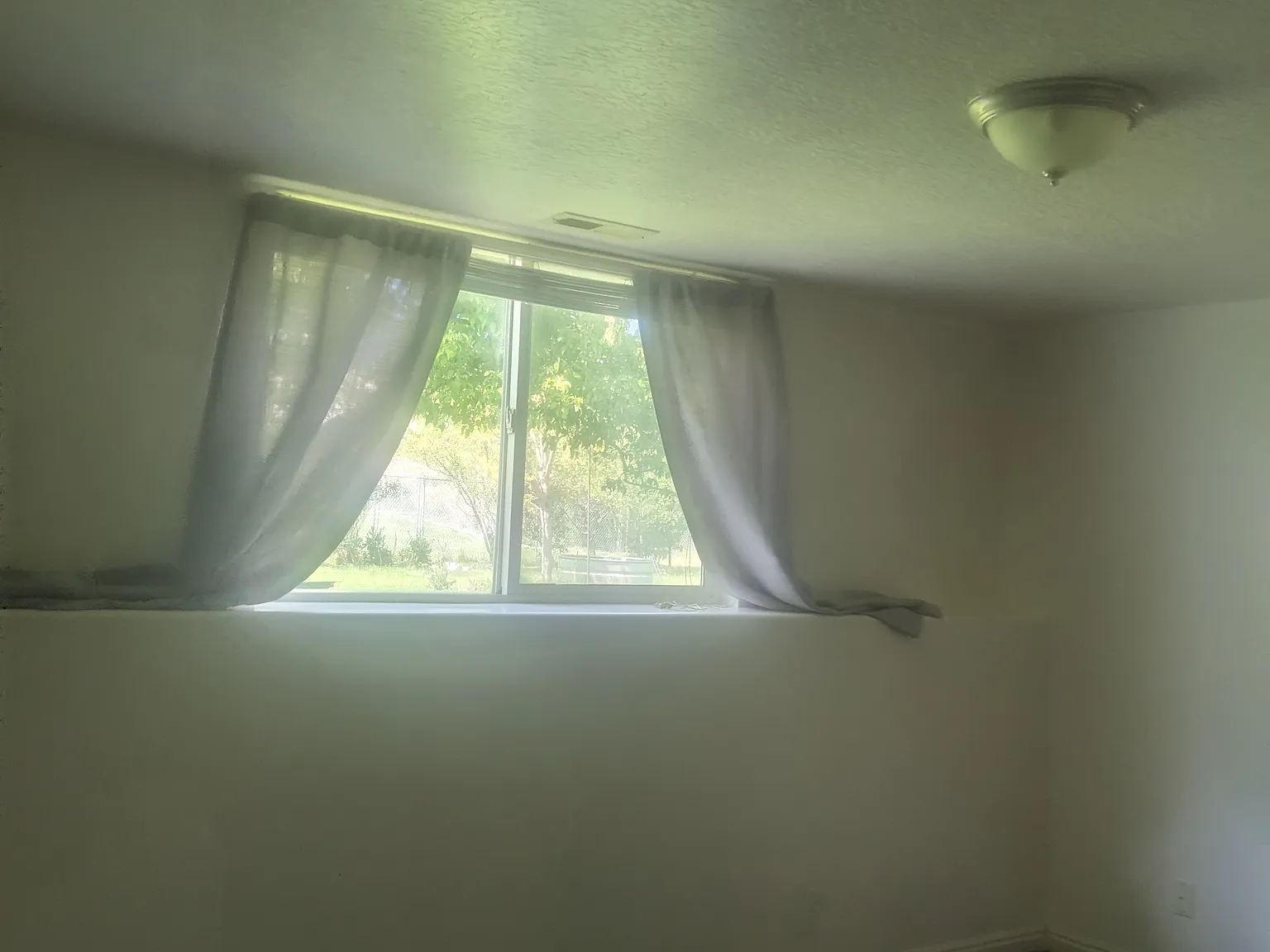 1 bed, 663 sqft, $800 — Photo 4