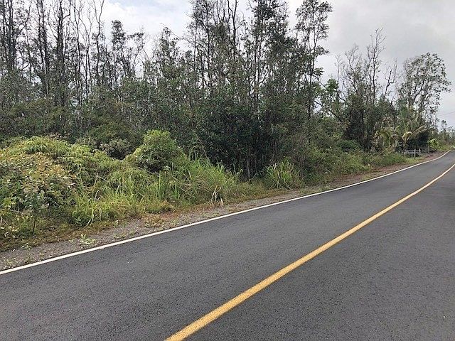 2nd image of Tree Fern Dr Lot 46