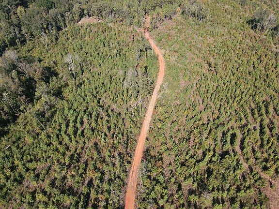 Road in Plantation