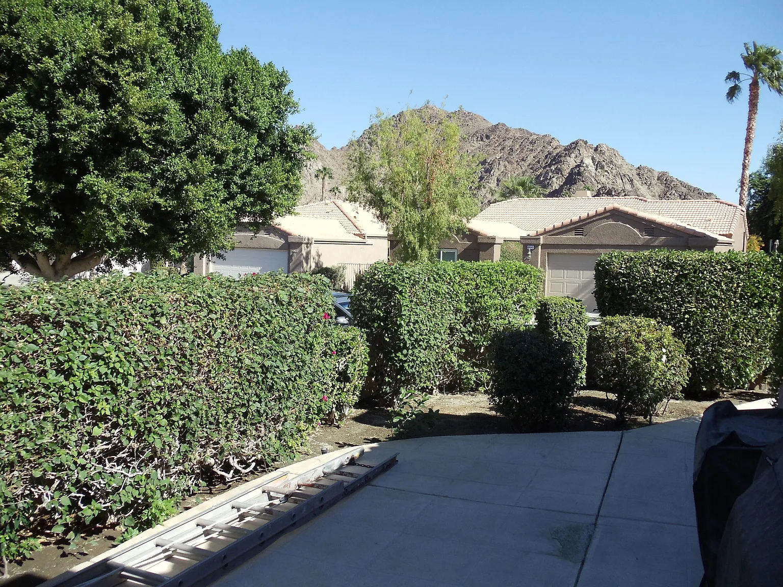 3 bed, 2001 sqft, $4,500 — Photo 3