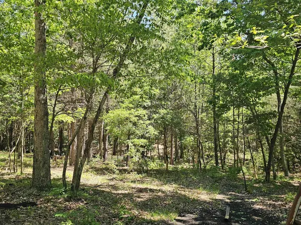 21/ACRE S County Road 361, Pisgah, AL 35765