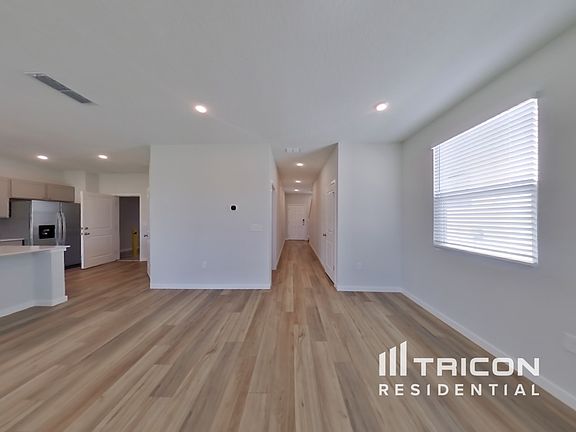 3rd image of 56 Brazil Nut Cir