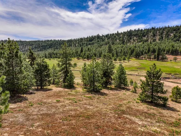 5605 Lupine Ln, McCall, ID 83638