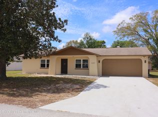 1157 Gaspar Ave, Spring Hill, FL 34608