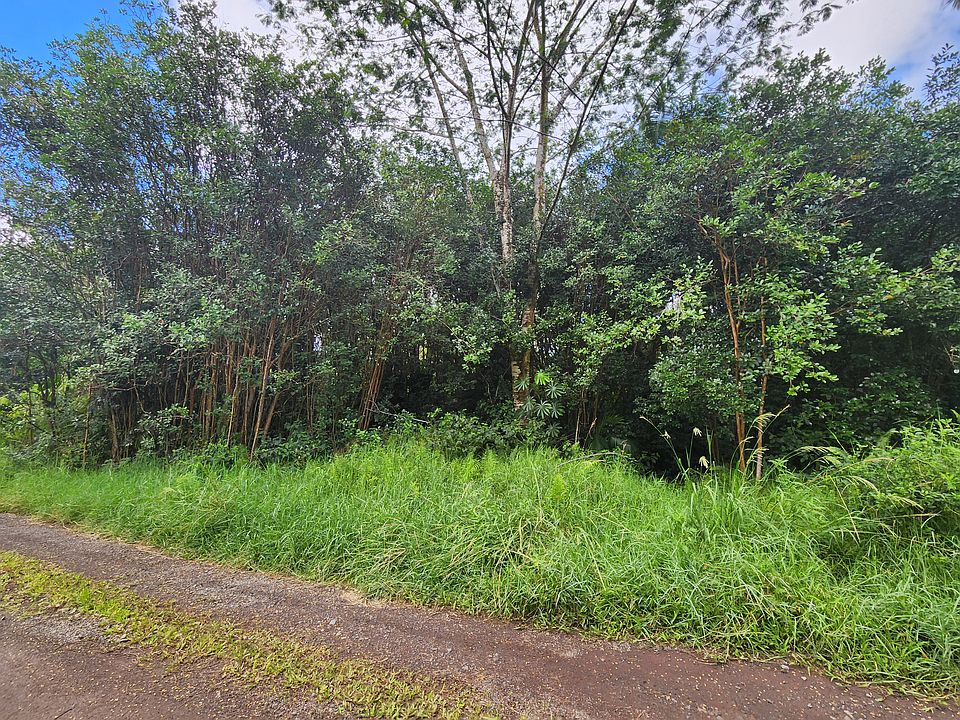 2nd image of Road 9 Koloa Maoli Lot 5358