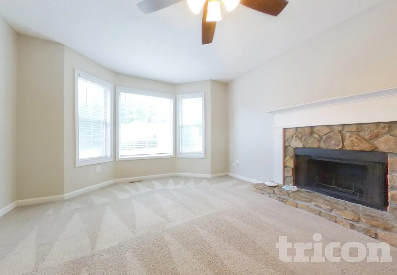 113 Ivy Brook Drive Dallas GA — Photo 2