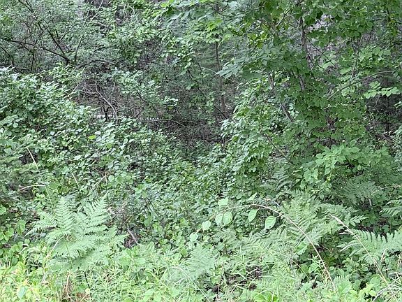 5th image of 00 Walker Road
