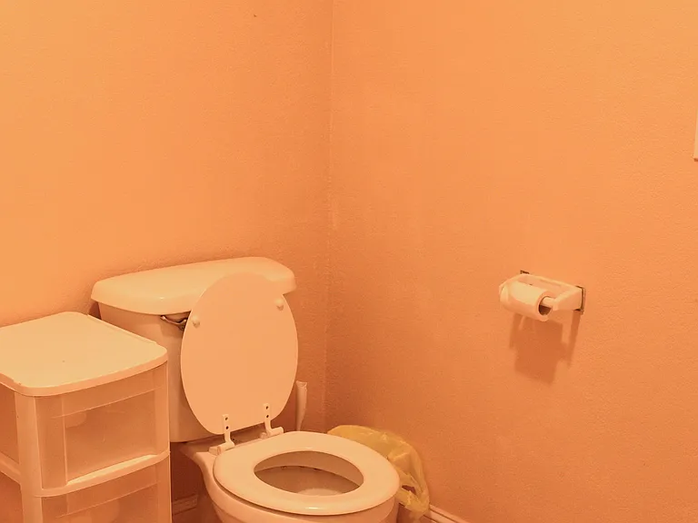 403 W Colquitt St #2 — Photo 9