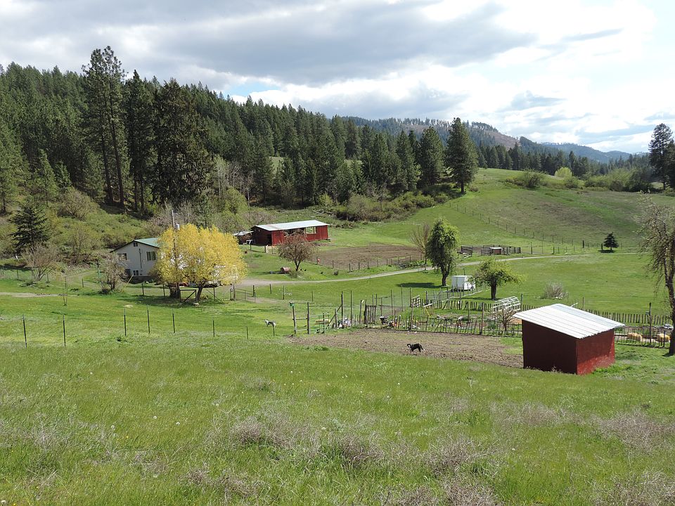 View from NW pasture