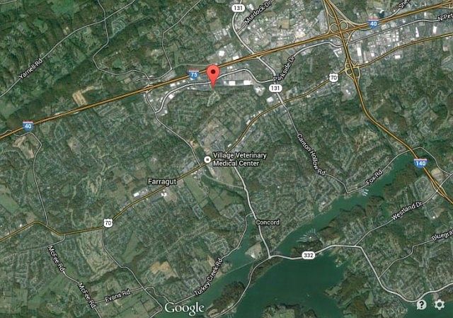 1st image of 442 Turkey Cove Ln