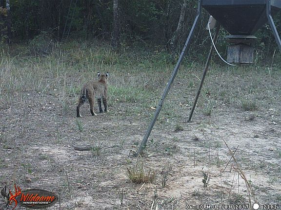 2nd image of 139 NW County Rd #1061