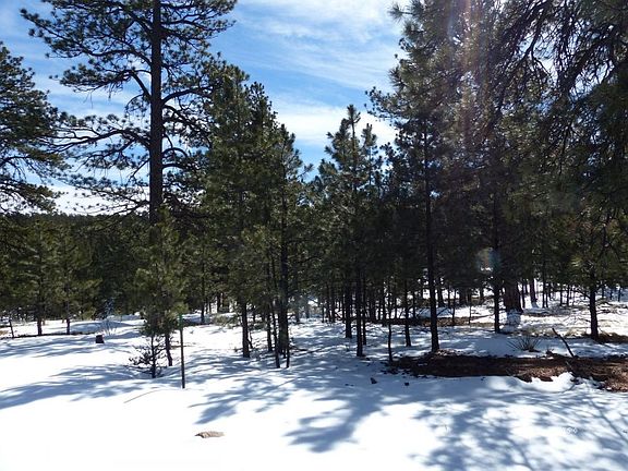 3rd image of 124 Kiowa Cir