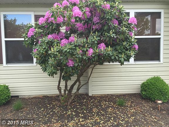 Gorgeous landscaping