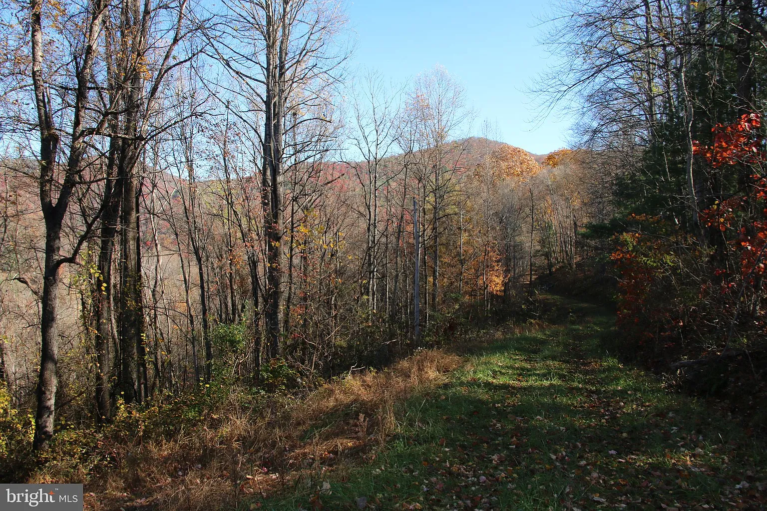 Overlook Mountain Rd photo 1