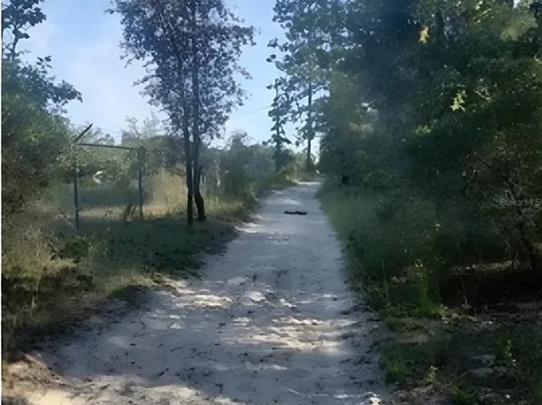 SE 60th St, Morriston, FL 32668