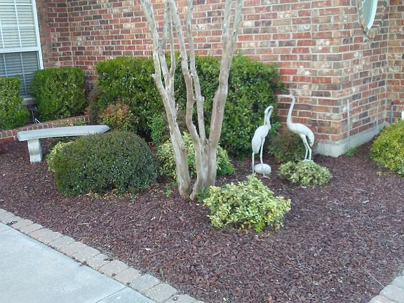 Restful outside garden.
