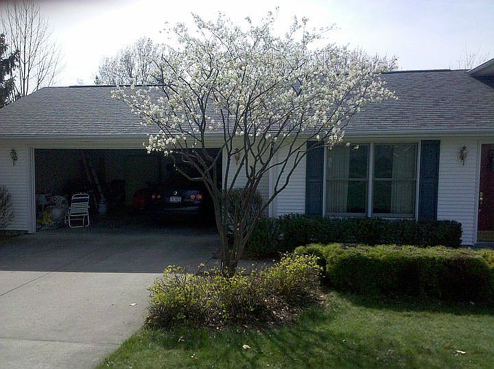 2nd image of 404 Morgan Ct