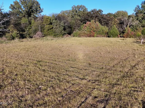 132 Renfroe Rd, Canton, MS 39046